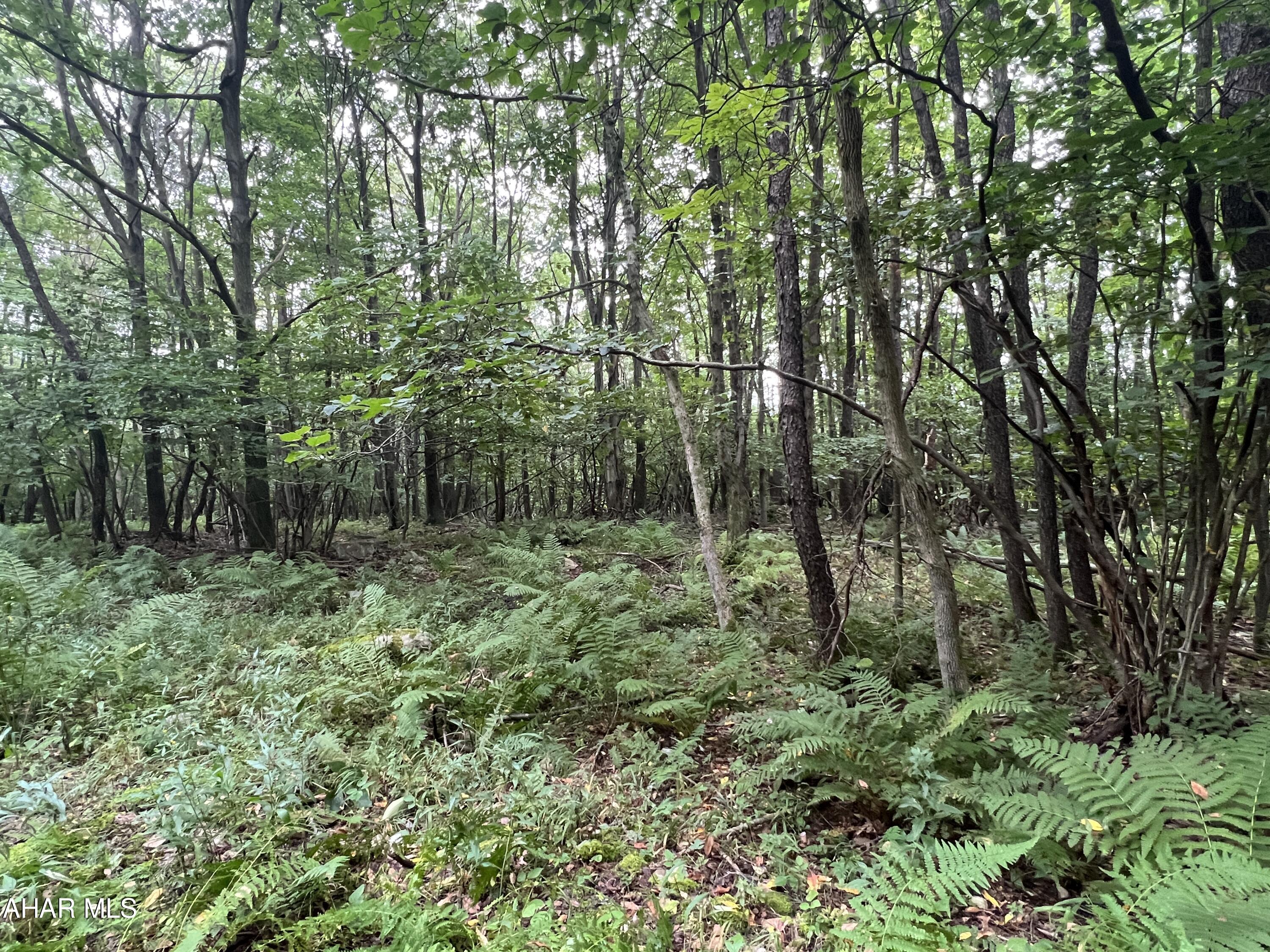 Folmont - Commercial Sale