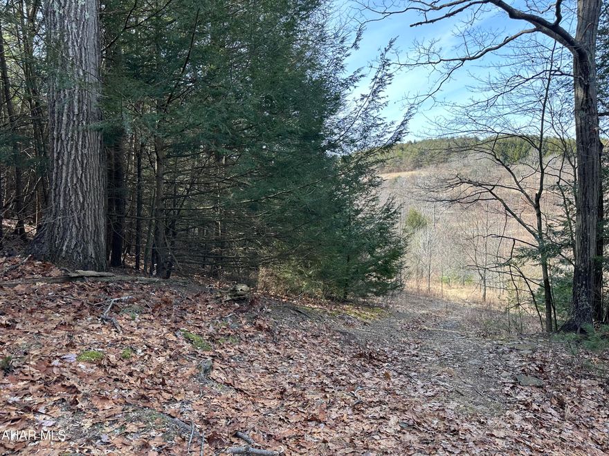 11 acres near Clearfield, wooded, beautiful mountain view on the back part of the property with some timber, stream on property along the road