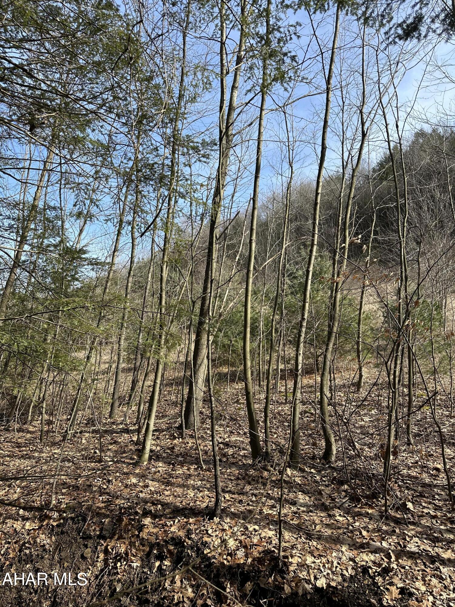 None - Commercial Sale