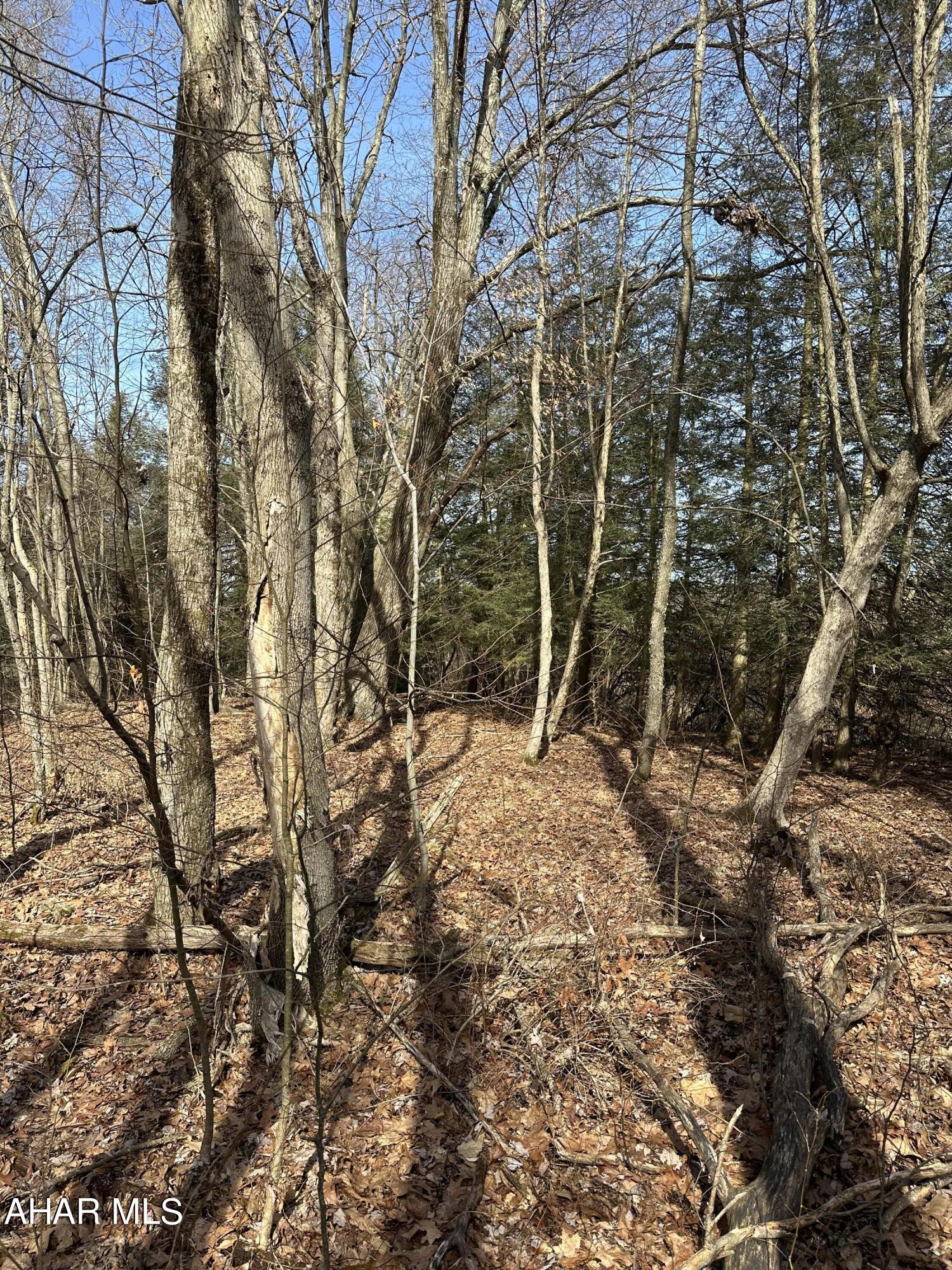 None - Commercial Sale