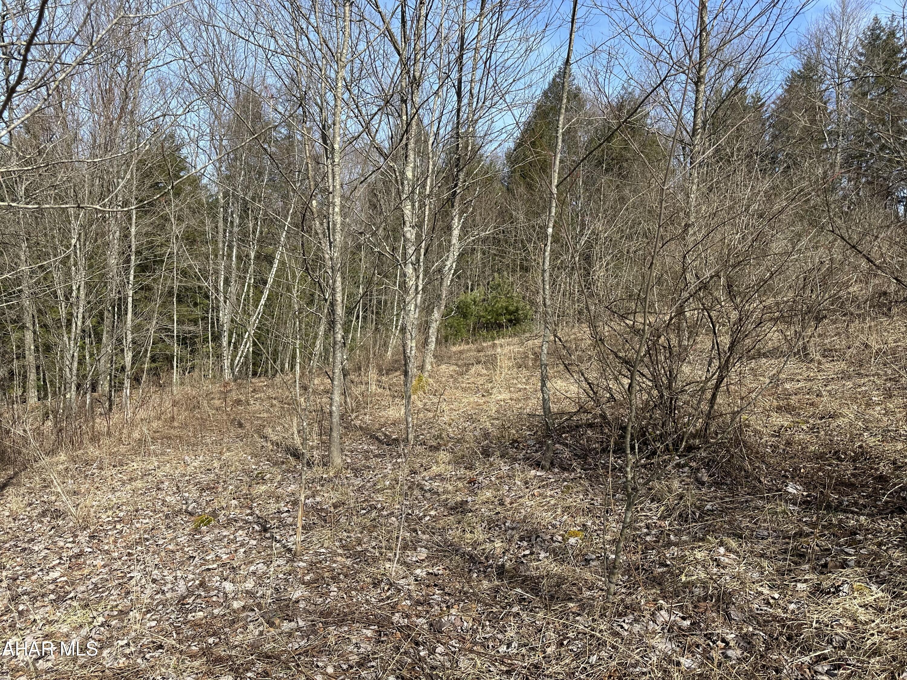 None - Commercial Sale