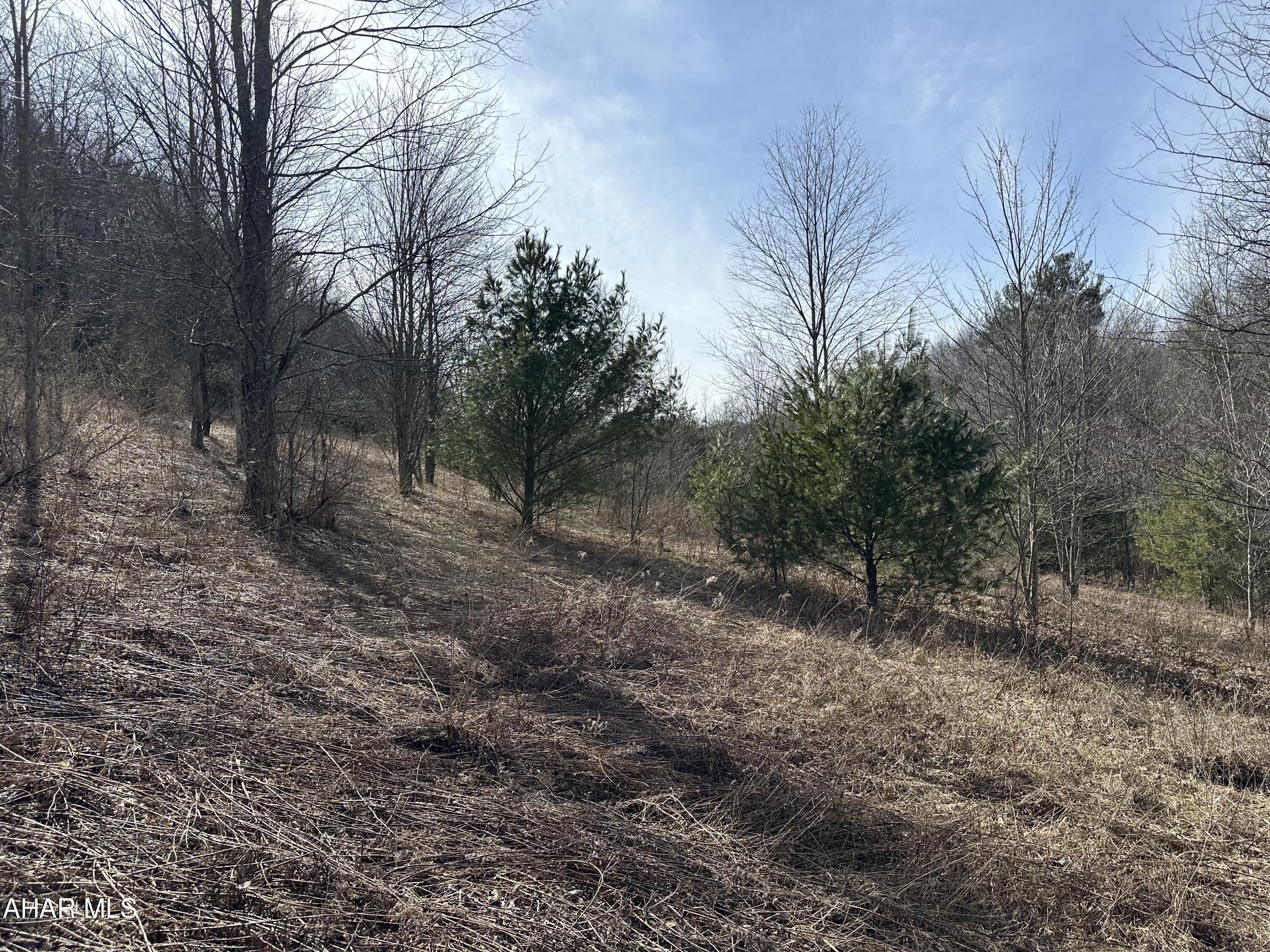 None - Commercial Sale