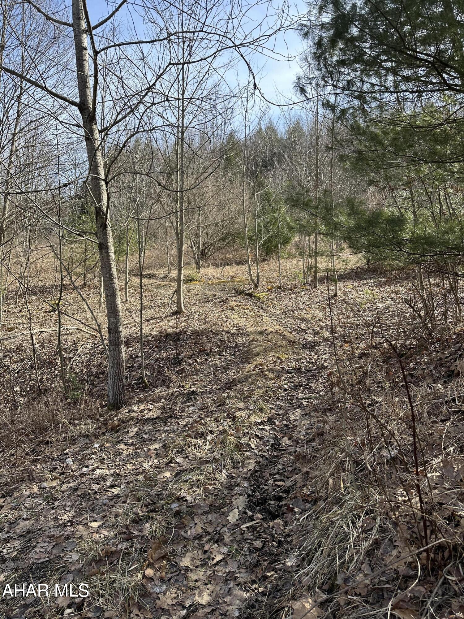 None - Commercial Sale