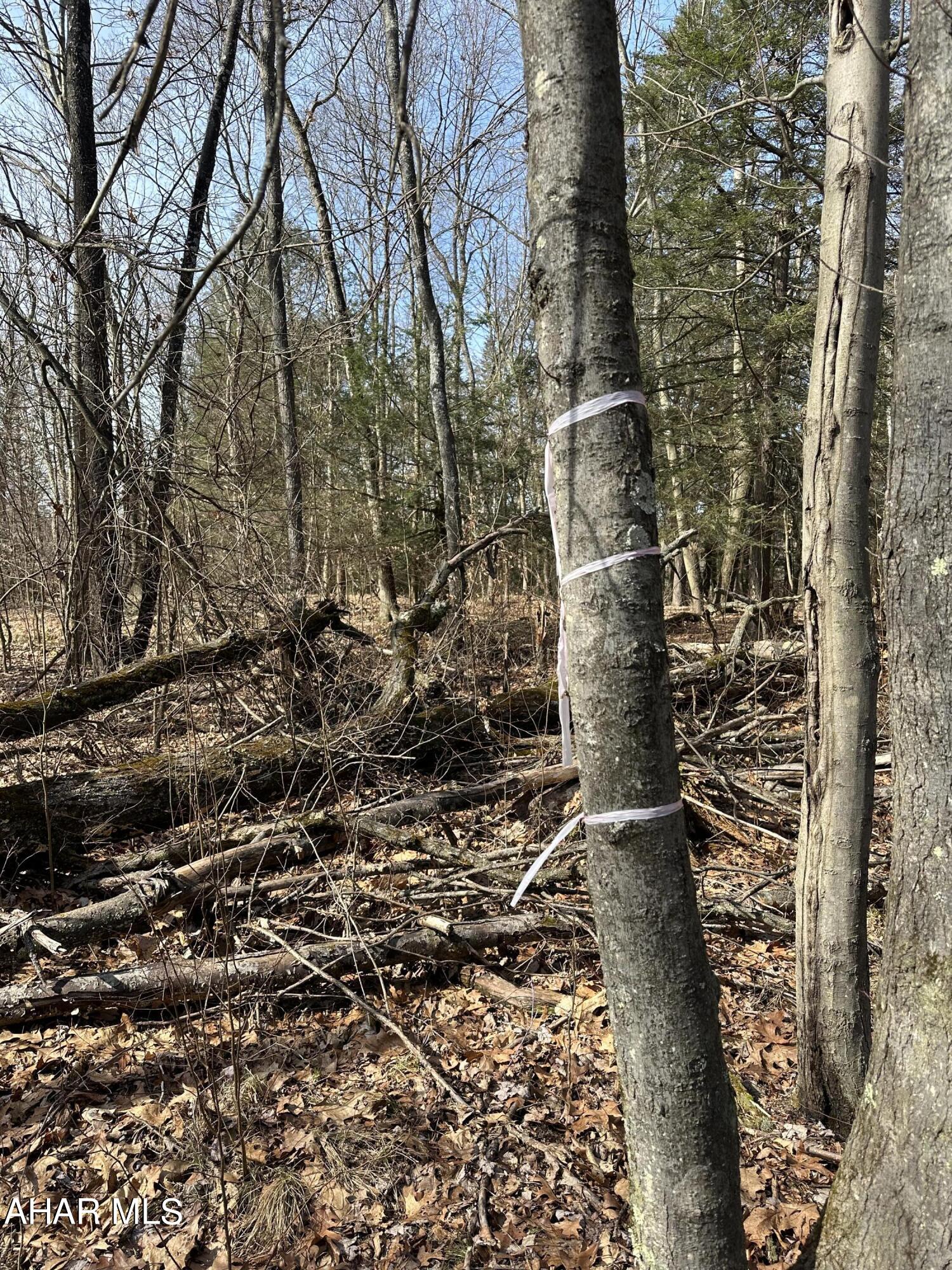 None - Commercial Sale