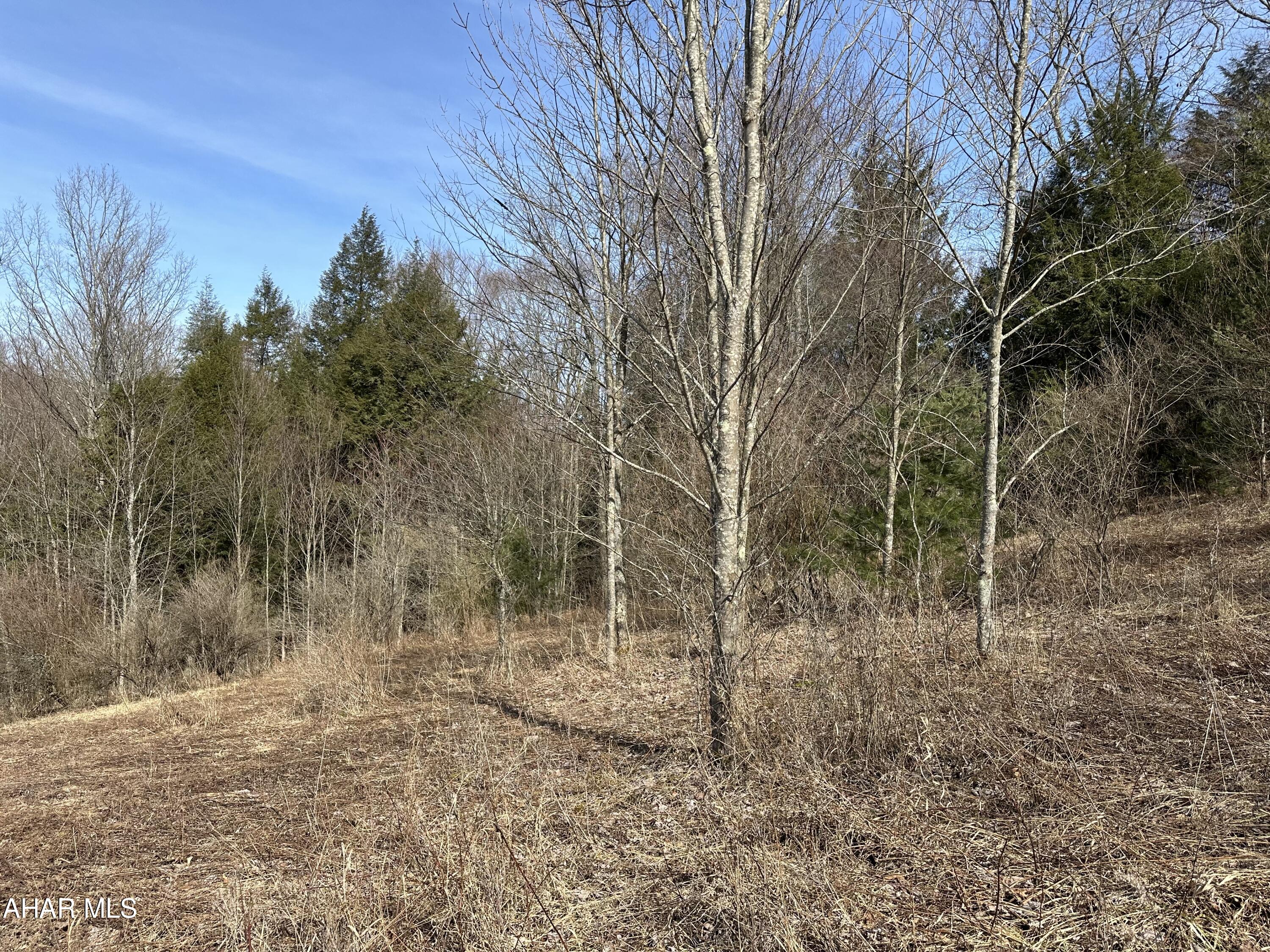 None - Commercial Sale