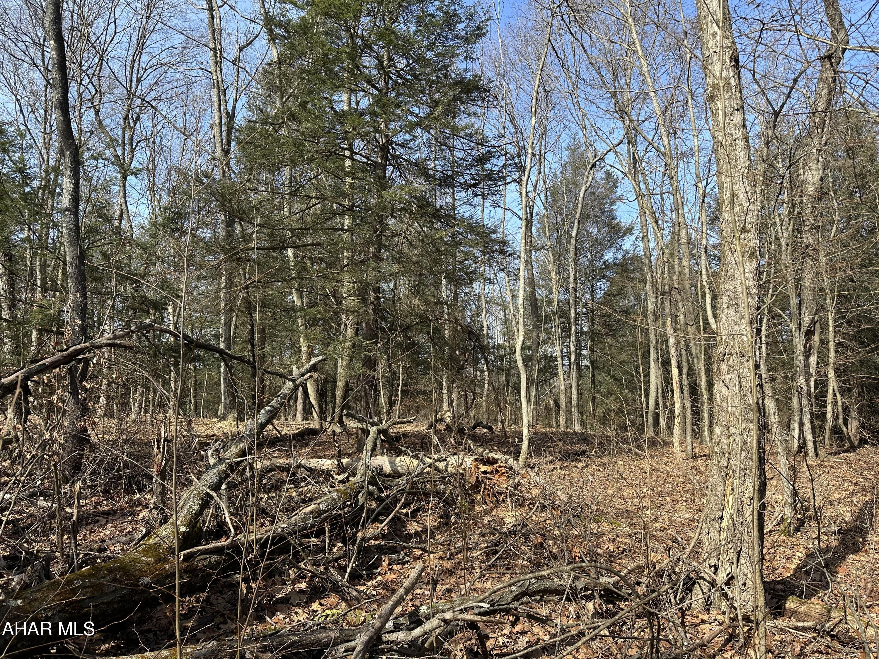 None - Commercial Sale