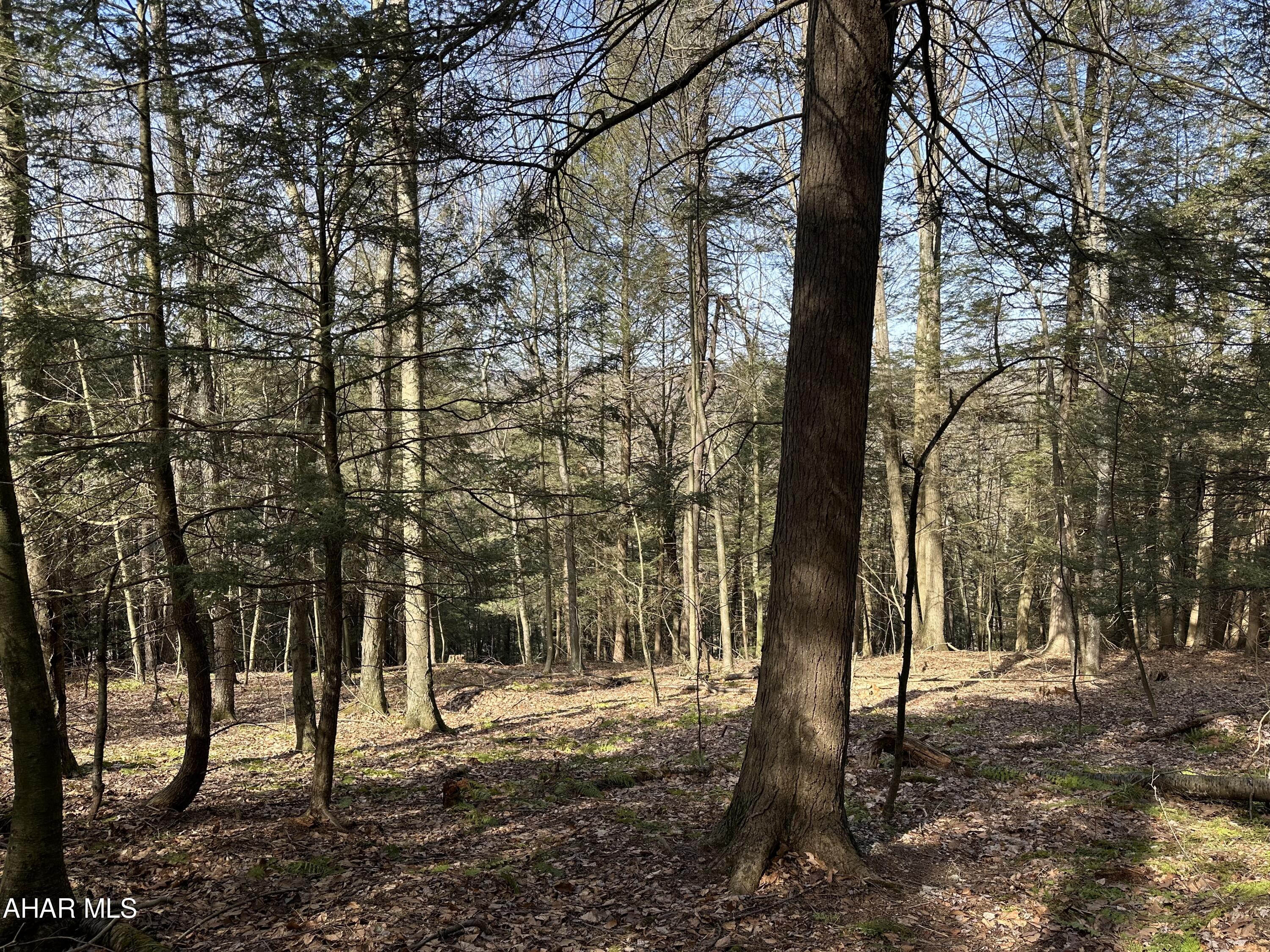 None - Commercial Sale