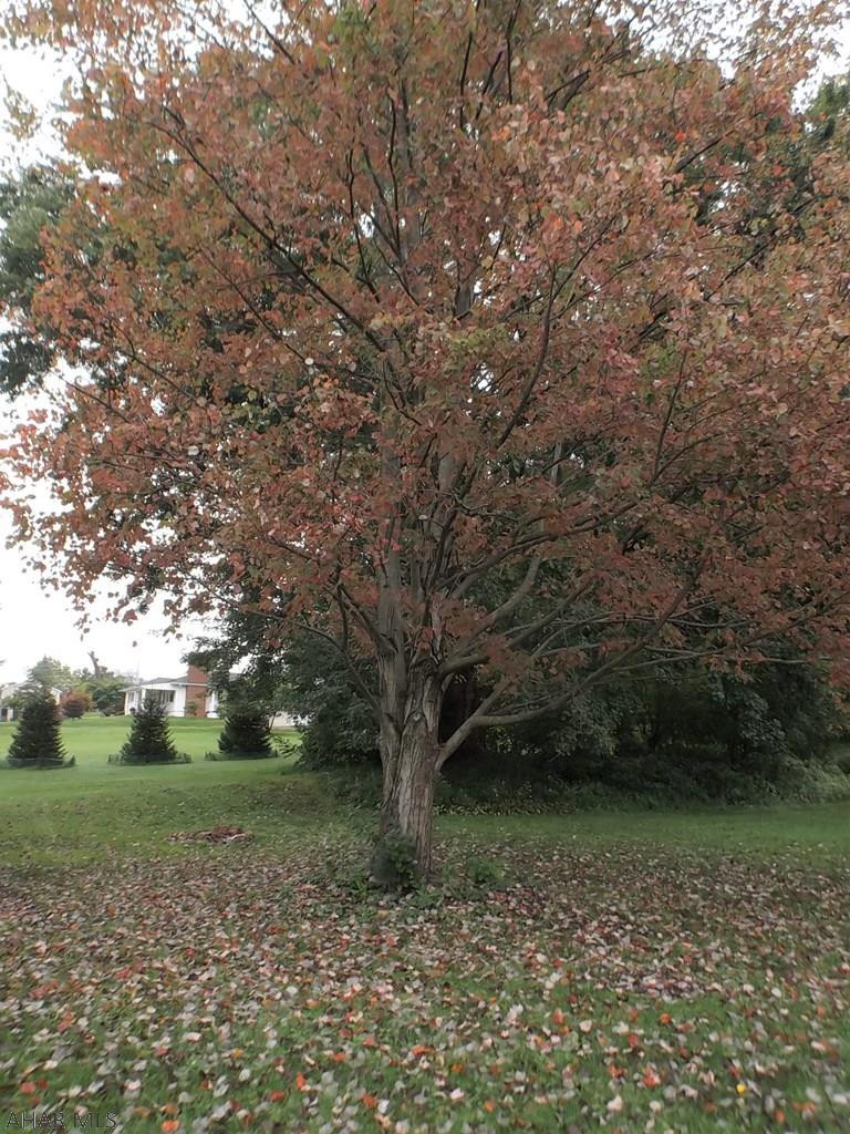 Pleasant Valley - Residential