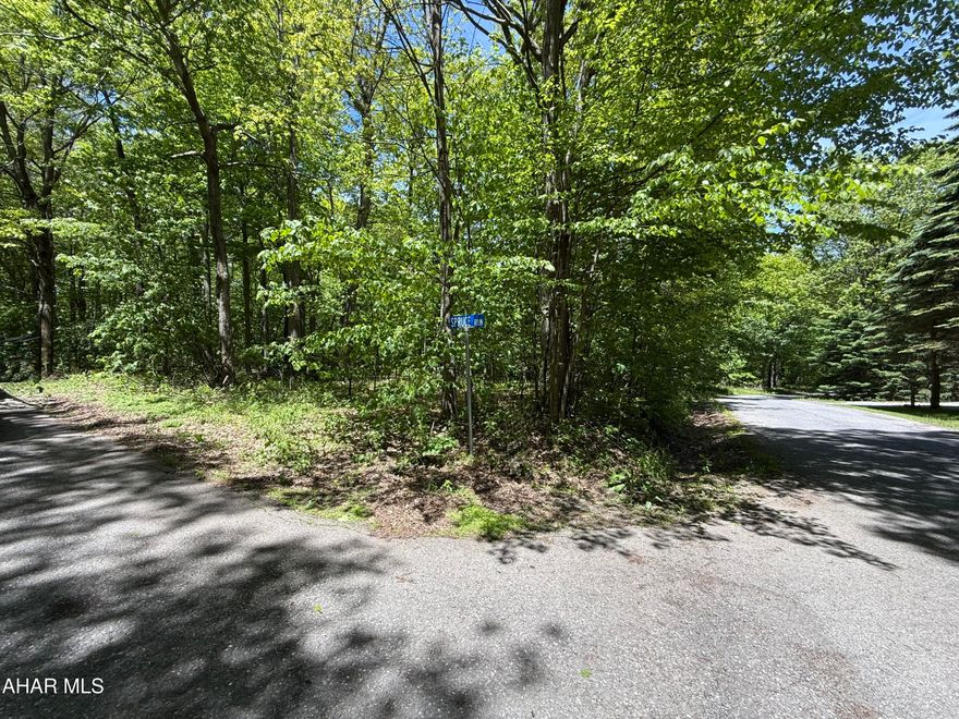 Perfect corner building lot at Blue Knob mountain. Water, Sewer and Electric are available just pay tap fee. HOA Lot Owners - $125.00 a year Homeowners - $425.00 a year SKA Membership Dues include: Road maintenance Snow plowing of the roads Access to: Dumpsters for trash Outdoor pool Tennis court Biking and hiking trails Clubhouse Bar and Grille (open ski and golf season) Indoor pool, sauna and hot tubs for a reasonable fee. Golf Course for fees posted on blueknob.com Snowshoeing Downhill and Cross Country Skiing for fees posted on www.blueknob.com Fun, excitement, beauty, activities, wildlife, relaxation - PRICELESS!