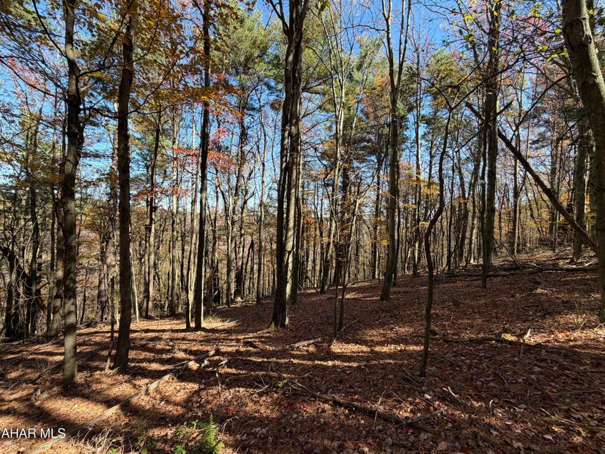 Embrace the great outdoors with this picturesque 172.5 acre property situated in Bedford County, PA!! This land is mostly wooded and offers the perfect canvas for your outdoor dreams, whether you're an avid hunter, hiker, ATVer, or just want to enjoy all nature has to offer, this has it. Property has multiple road frontages along township roads, it's private, but yet close to major roads and just a short drive to the PA/MD border, Rocky Gap State Park and Resort, Cumberland, MD or historic downtown Bedford. State Game Lands No. 48 & 104 are just a few minute's drive and contain over 14,500 acres. Build your dream cabin, bring your tent or RV, or just come relax and take in the scenic and peaceful mountain views!!