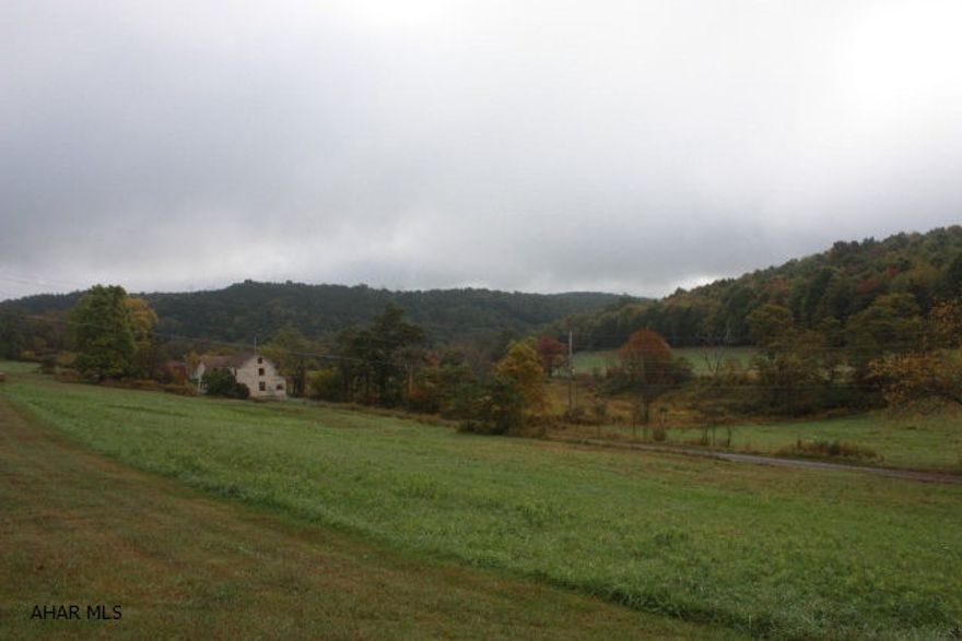 Over 92 acres of beautiful farmland available in close proximity of local amenities.  Operate your own farm, rent it to tenant farmers or just enjoy the wide open spaces and rolling hills.  Fantastic views, lots of wildlife and the opportunity to own a significant parcel of land right outside of Geeseytown.  Just 6 miles from downtown Hollidaysburg with easy access to 22 and I-99.  Note, mineral rights are not included.