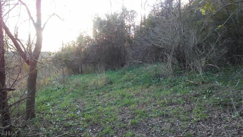 Turkey Valley - Land