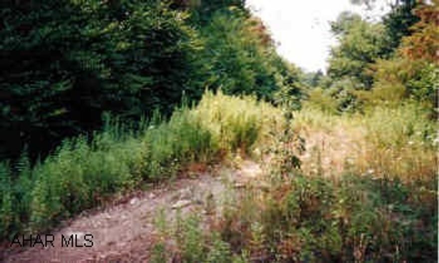 Great wooded building lot in Eldorado Springs Great building lot in Eldorado Springs, city water and sewer available.