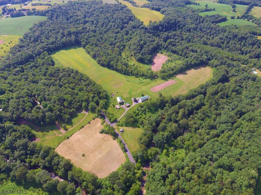 If you're looking for a property that has it all, this is it! Property offers 61+/- acres with over 1/2 mile of frontage on Shaffer Creek. Consisting of a Main House (4BR,3BTH), Guest House/Office (2BR,1BTH), and several outbuildings this property offers room for the entire family and all of your friends to kickback and relax and enjoy the country lifestyle. The land is a mix of approximately 50% woods and open fields and could be used for farming, recreation, or a great place for horseback riding. With a mix of rolling hills and level ground it is a rare find with its quiet, peaceful location. It is located on a quiet well maintained township road only 15 minutes from town and approx. 20 Minutes from the PA Turnpike and I-70 and an hour from Lake Raystown and Blue Knob Ski Resort.