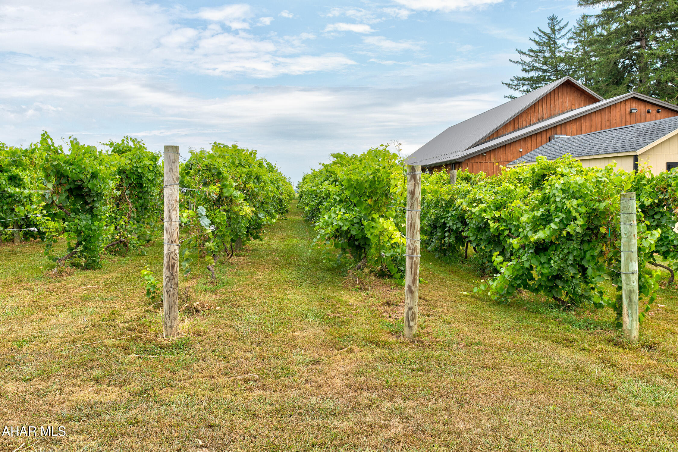 Juniata - Commercial Sale