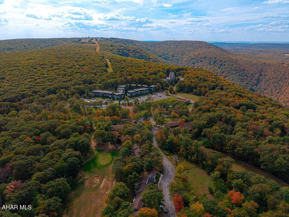 Blue Knob - Residential