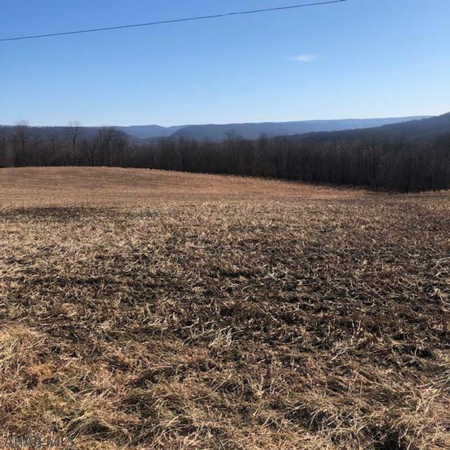 Beautiful mountain top property located off of Glade Pike with wonderful views and loads of road frontage for easy access.  Approximately 21 +/- acres open and tillable that had been previously planted in corn and 24 +/- wooded acres.  I'm told there have been many years of great hunting here.  Acreages are per tax records - buyer to confirm.