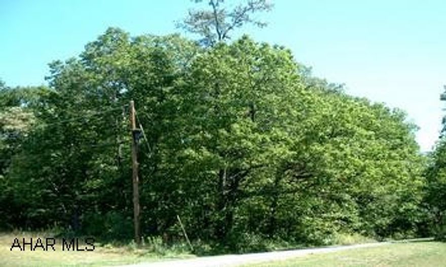 Very lovely 2.4 AC Wooded building site with Wonderful Seasonal views of Shawnee Lake and surrounding hills & woodlands.  Site is located just outside Schellsburg next to the "Old Log Church Cemetery".  The site was recently surveyed with over 400' hard road frontage and is over 250' deep.  The property was perc approved 3/02 for a sand mound septic system and electrical service is available.  Property includes a damaged 1970  8' X 40' AMERICAN trailer last used for on-site camping.---NO RESTRICTIONS.