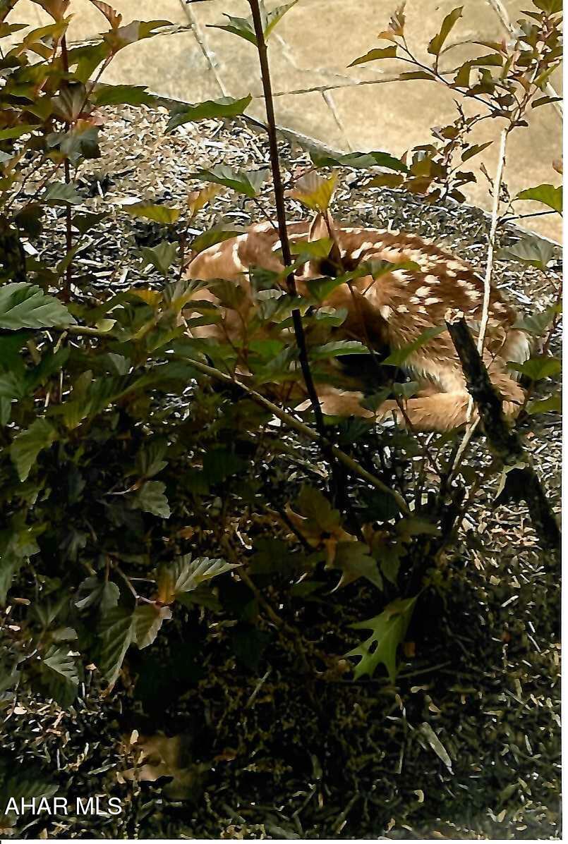 Fox Hollow - Residential