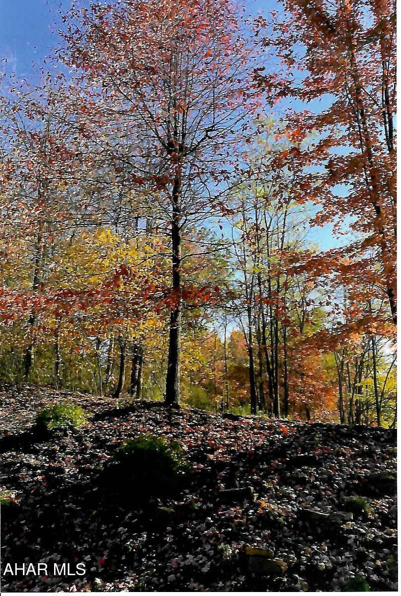 Fox Hollow - Residential