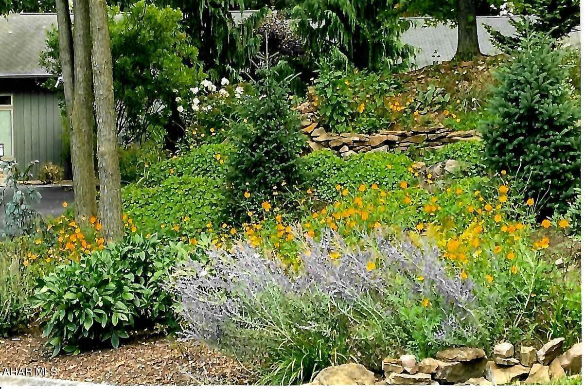 Fox Hollow - Residential