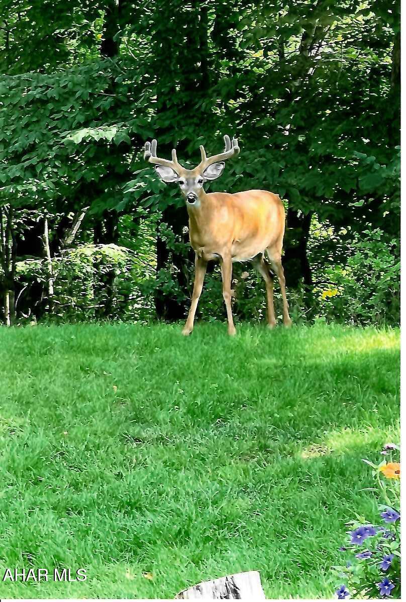 Fox Hollow - Residential