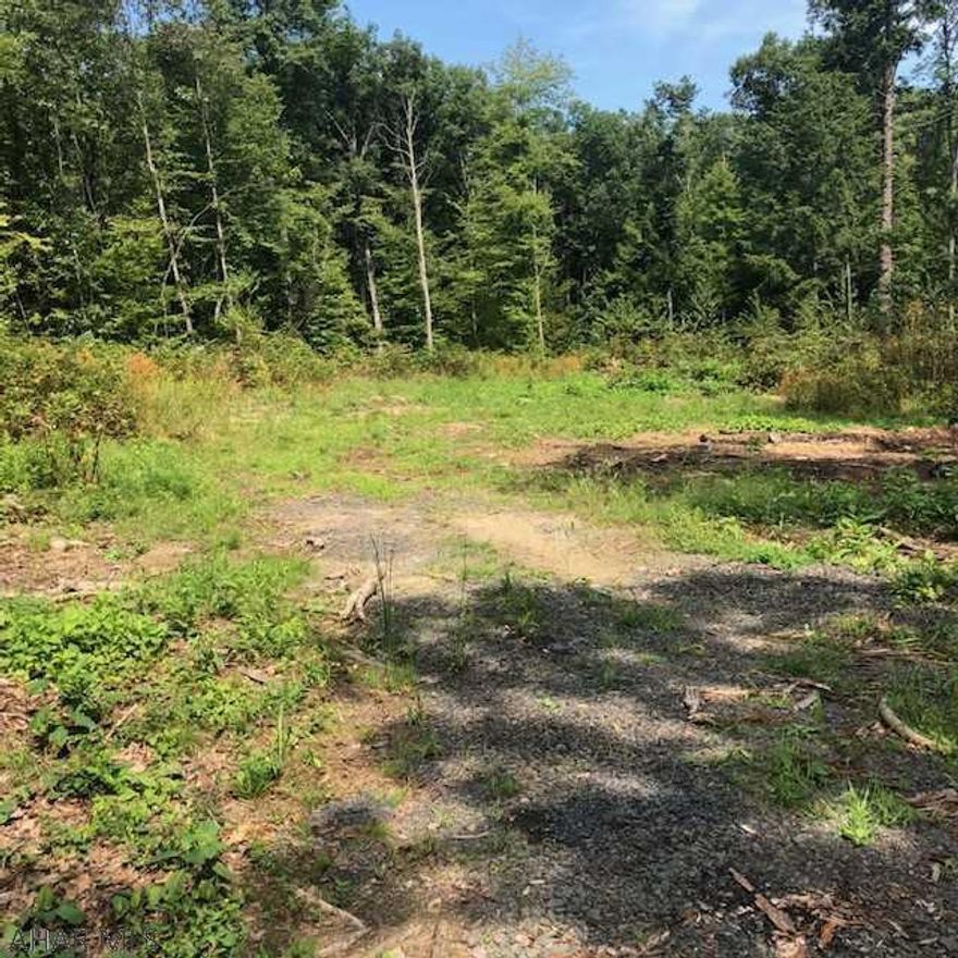 Here's a terrific opportunity to purchase this 3 acre lot that has a cleared building site with the well and sand mound already in place. Build your new home within this tree-lined setting that offers privacy but still has quick access to Route 56 for an easy commute to I-99, schools and local attractions like: Shawnee State Park, Blue Knob Ski Resort, local covered bridges, historic sites and more. The septic design is for a 3 bedroom home and the well yield is 80 gallons per minute.  Electric is nearby.  Note: This property has deed restrictions against single and doublewide manufactured homes. Modular homes will be considered with seller's approval of house plans.