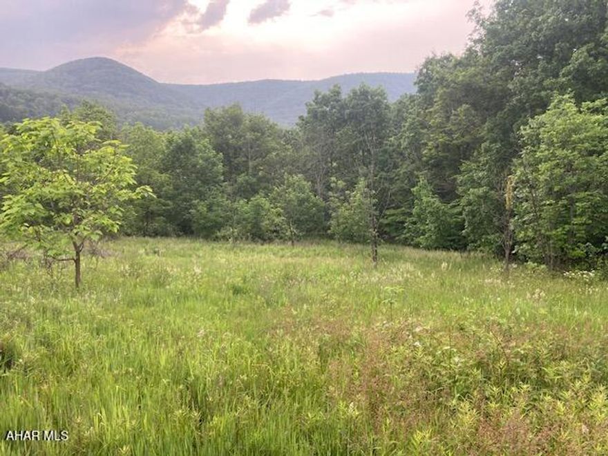 Beautiful views!!!! Build your dream home!!!! Secluded 5.65-acre parcel of land accessed by deeded right of way. Perc has been approved, plus recent survey. Will need to drill a well.