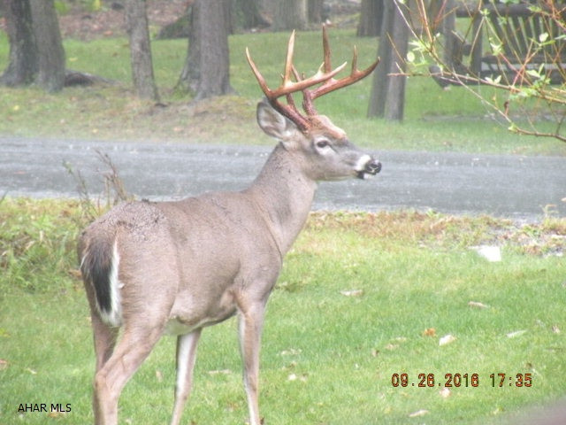 Glendale Yearound - Residential
