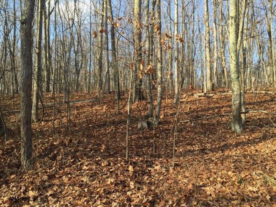 Affordable building lot of 5 acres, just waiting for you to build your dream home. Lot is wooded with state game lands nearby.