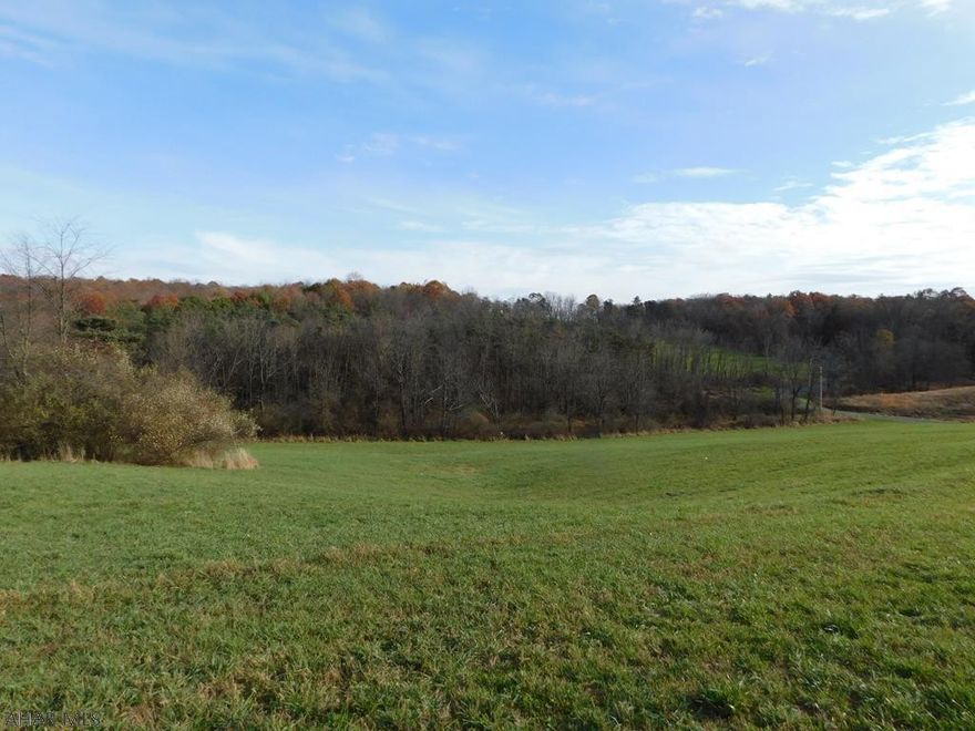 Open Space with an amazing view! If you're looking for a place to build a home, land to hunt or land to farm this could be the place for you. Lots of road frontage, fields and woods, this property has some of it all. Conveniently located off South 26 and only approximately 20 miles from the Maryland line. Fields are currently leased out for farming. There is an abundance of wildlife in the area. Check it out and see if this is the property for you.