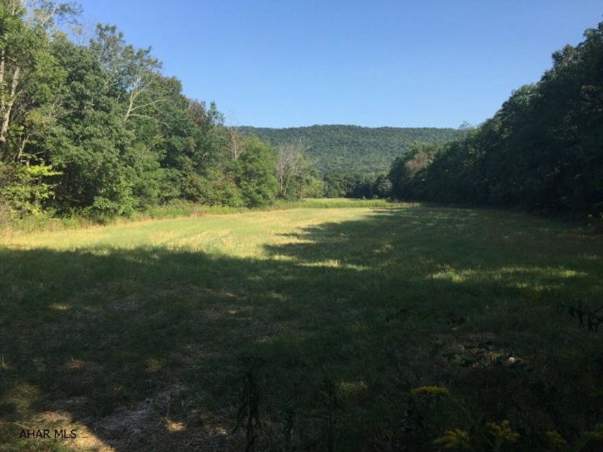 Excellent hunting or building opportunity on this 112 acre lot in southern Bedford County.  Property is mostly wooded with access from Bard Hollow road.  Within 30 min drive of Shawnee state park, Rocky Gap resort, Blue Knob resort and a 2 hour drive from Pittsburgh, Baltimore and Washington DC.