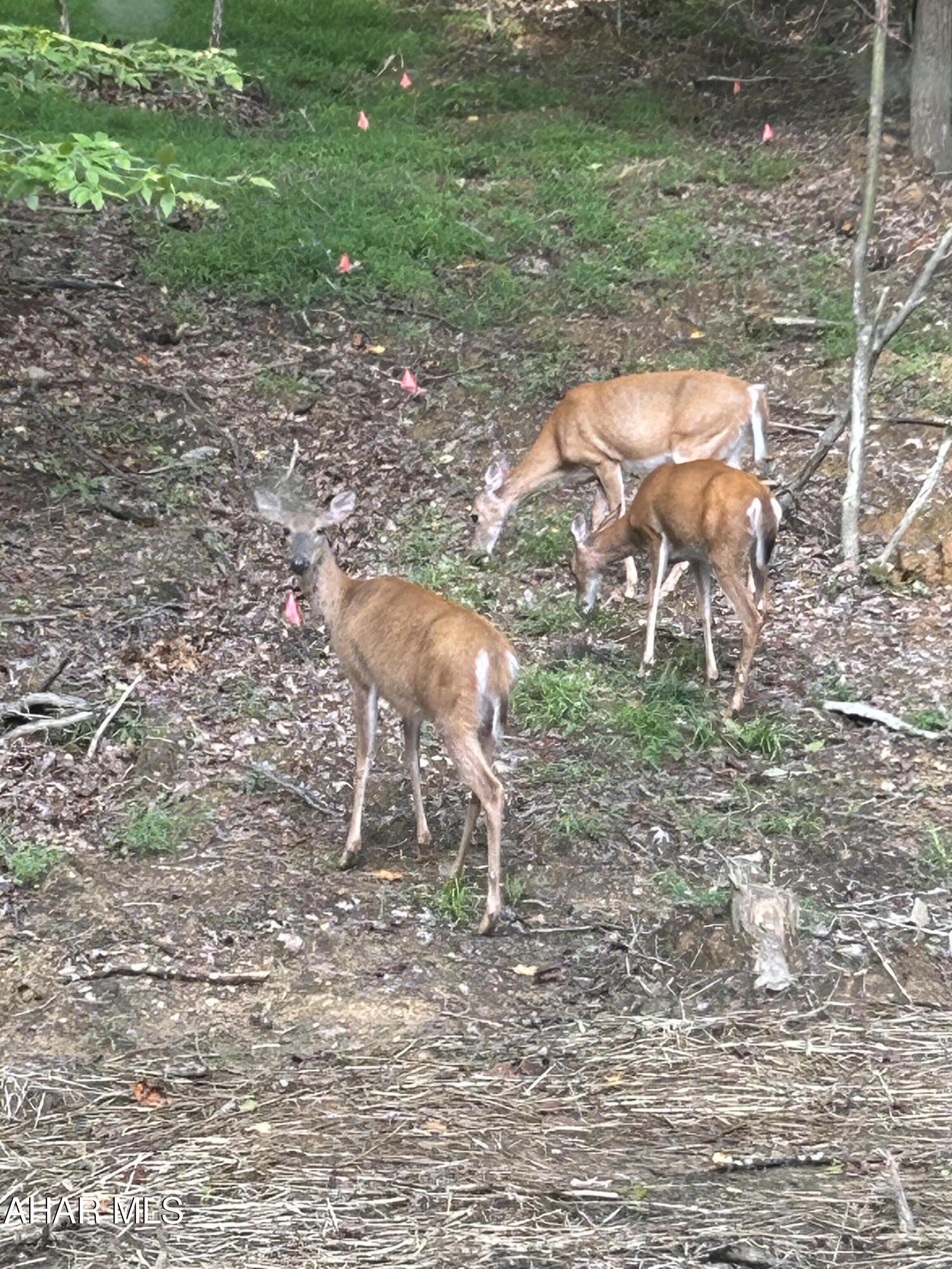 Glendale Yearound - Residential
