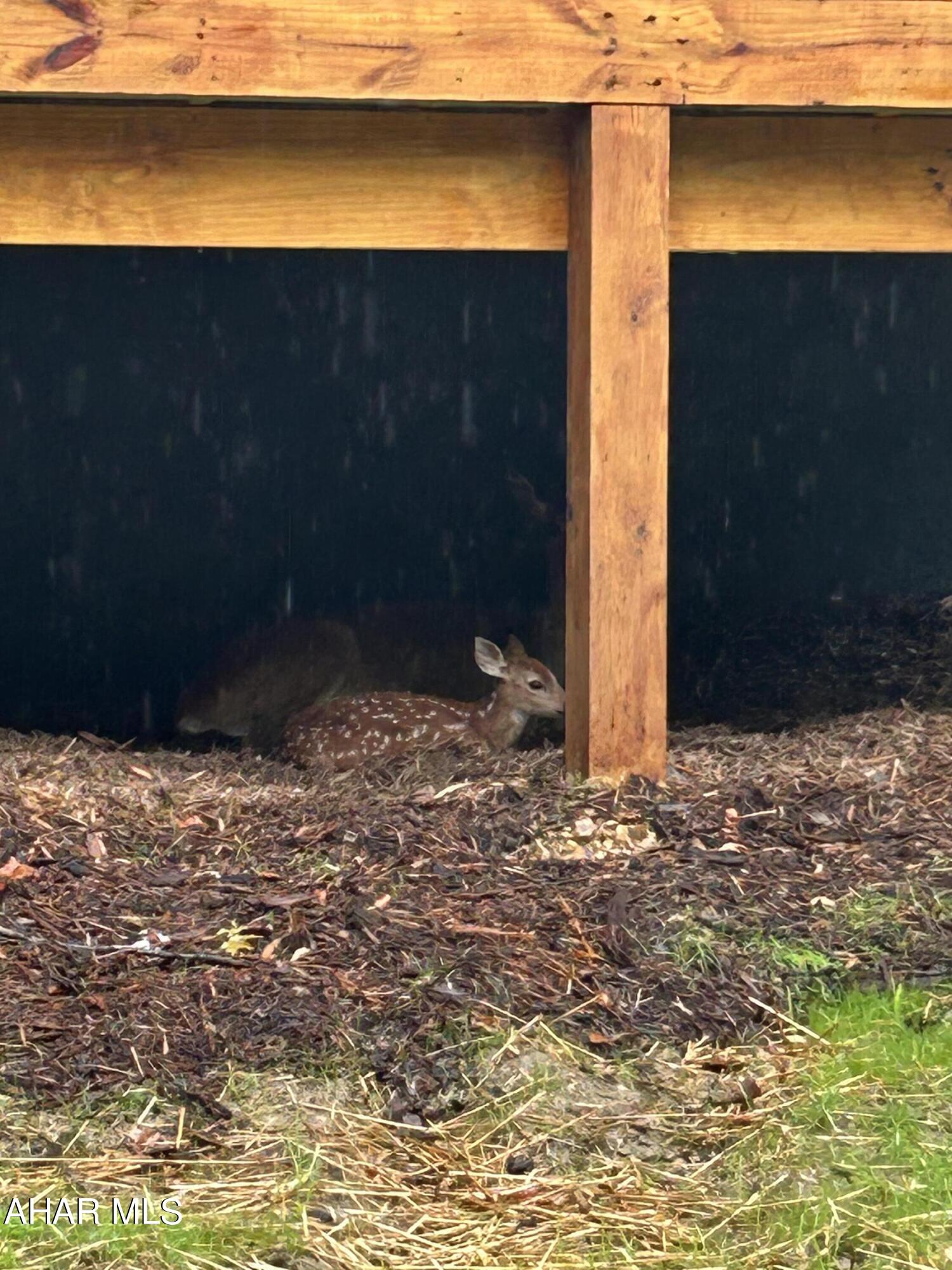 Glendale Yearound - Residential