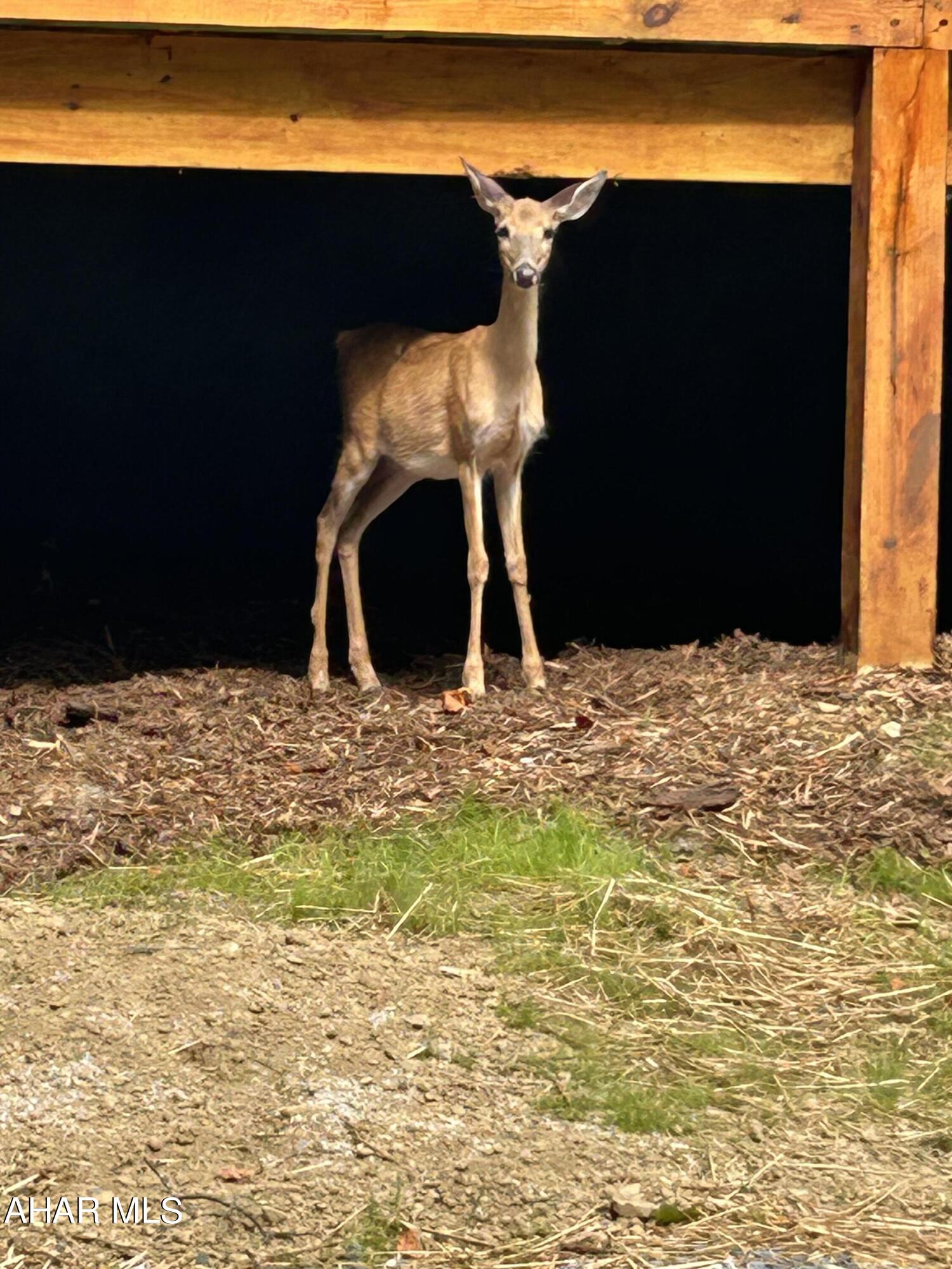 Glendale Yearound - Residential