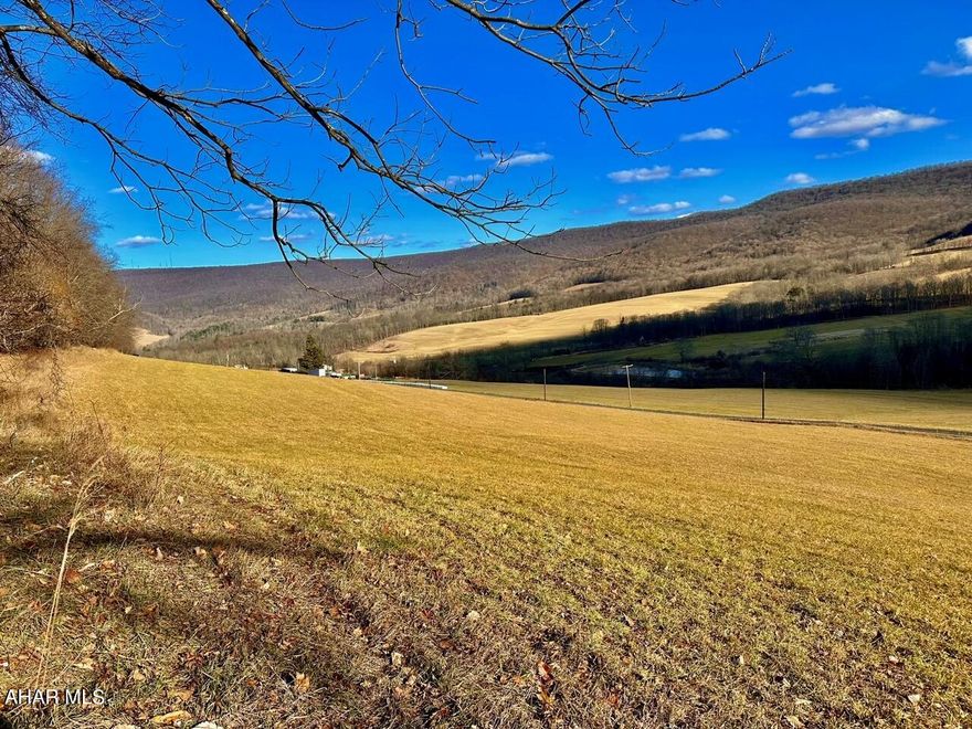 For Comp Purposes Only