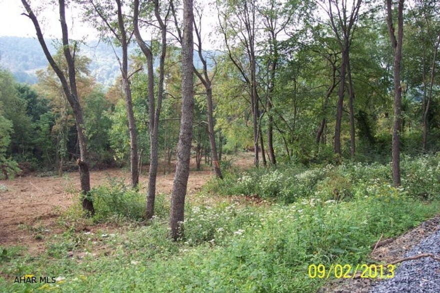 Beautiful acreage in rural Bedford on Evitts Mountain. 34 x 14 Shawnee Structure hunting cabin. Put in place in 2013. Cabin sleeps 8. Fully wired...you just need a generator! Wood Stove for heat. Propane stove is battery ignited. Fully furnished. Acreage is gorgeous. Seller believes the ground is 15/85 flat/steep. Beautiful mountain stream. Spring feed pond. Property is located near Buchanan State Forest....a Hunters dream! 10 Miles from Bedford Hospital and Bedford Springs Hotel.