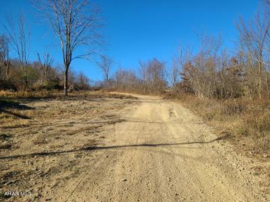 Almost 15 acres in Logan Township! Public water and public sewer hookups are at the corner of the property. Natural gas hookup is nearby.