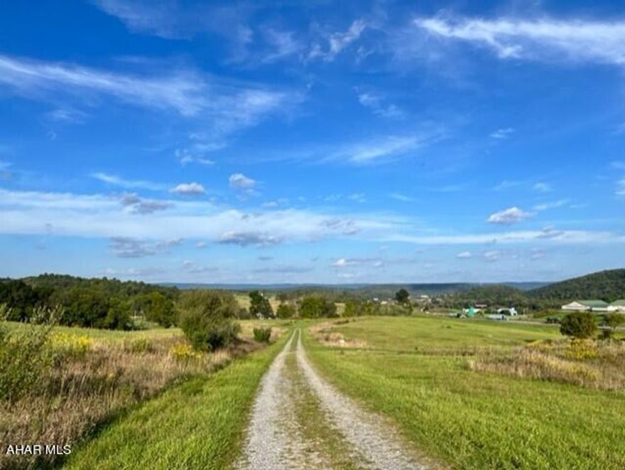 Beautiful lots with mountain views and underground utilities (telephone and electric).  Large lots to build your dream home.  Lots were perc tested but may have expired.  Buyer to confirm.