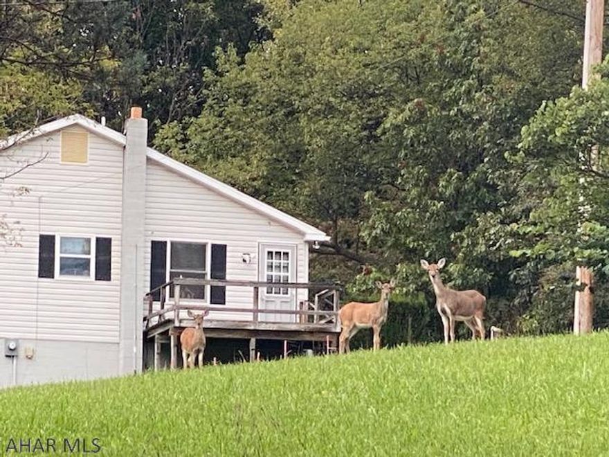 Are you looking for the perfect property in the perfect location with plenty of wildlife and farming possibilities? Look no furtherwe found it for you in beautiful Bedford County! This mountain home is situated in the rolling hills of the Alleghenies. Close to just about everything but in the middle of nowhere. Partially field and partially open makes this the perfect year-round home or get away retreat.