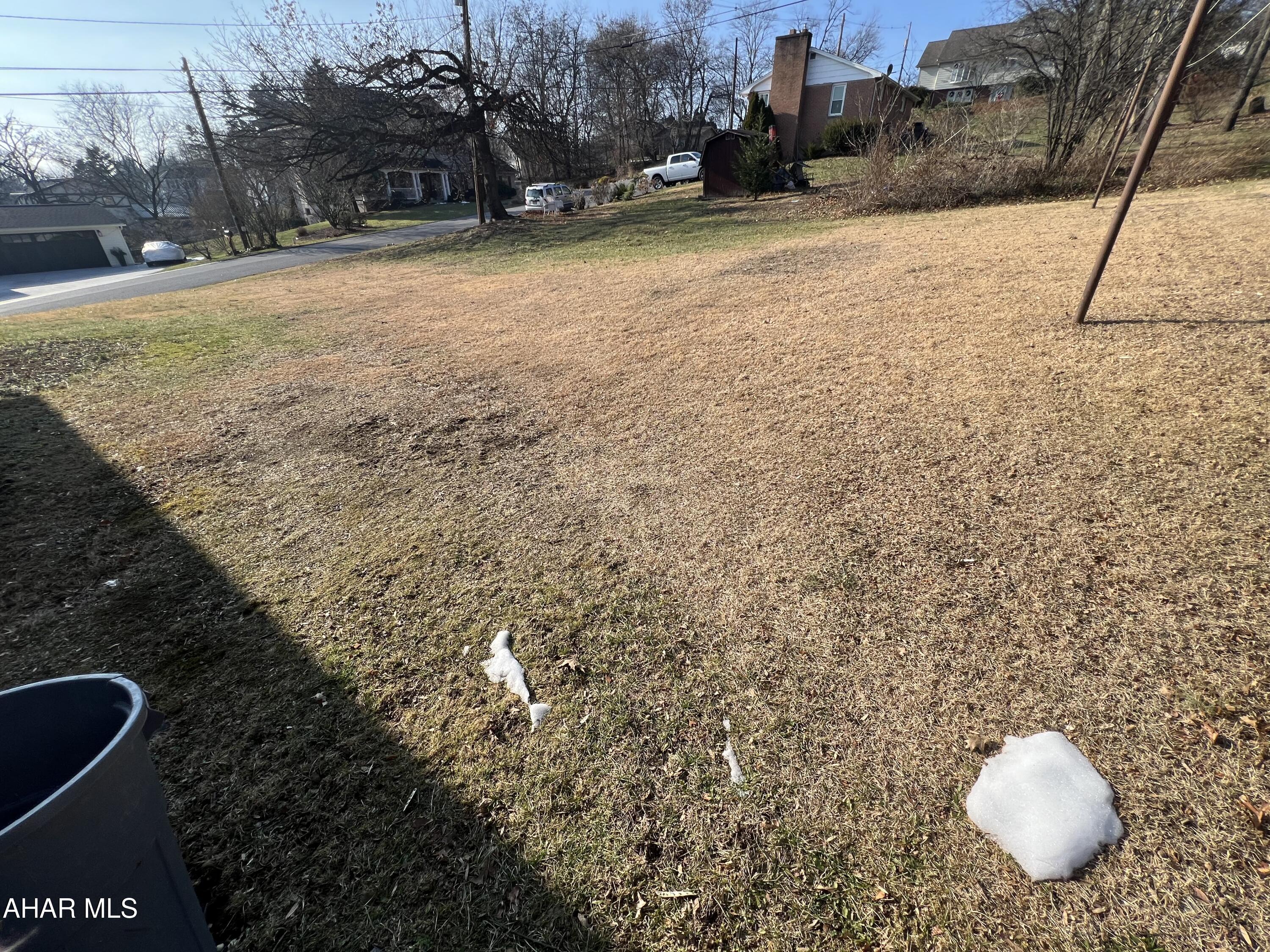 None - Residential Lease