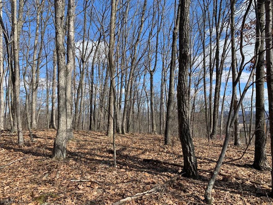 7.91 wooded acres ready for a new home!!! Public road frontage, all wooded and percolation approved for a private septic. Convenient location close to I-99, Bedford, Routes 56 & 30.