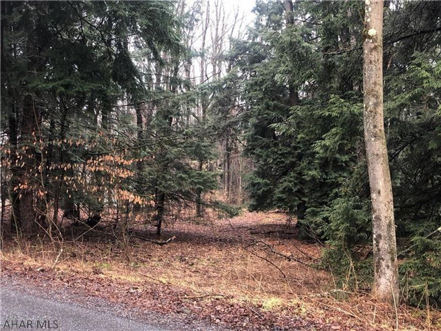 Level, wooded building lot adjacent to Northwinds Golf Club.  Enjoy scenic views of the 17th fairway and enjoy the beauty of nature in your back yard. Prospective buyers will have access to Indian Lake and all that the Laurel Highlands has to offer.