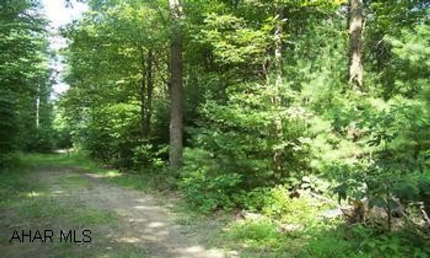 Flat, wooded and secluded, very private! For more Information contact:  Vickie Geisler 814-285-2241