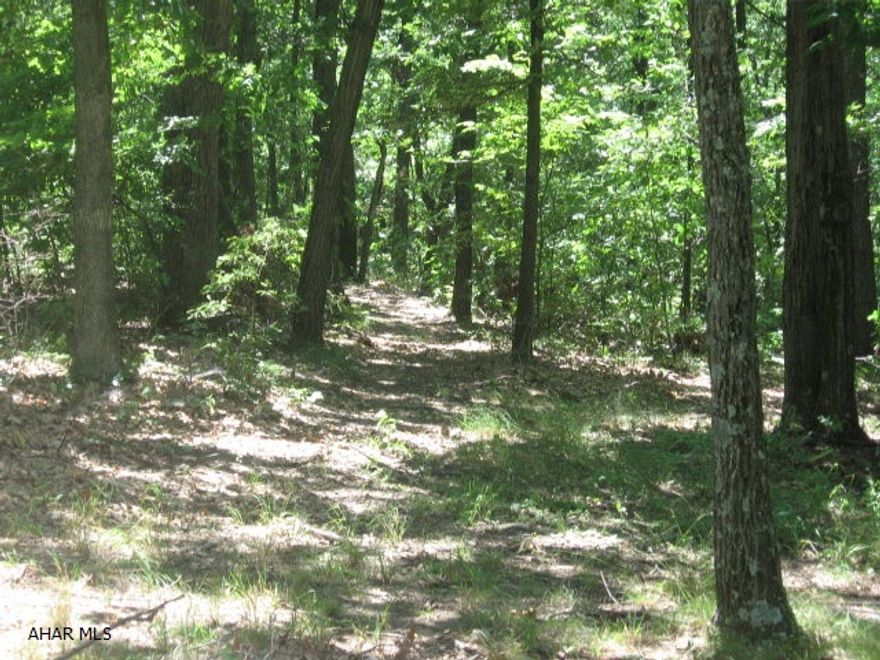 48 acres of land. Was part of a 92.4 acre parcel that is currently being subdivided into two parcels - one parcel to the right of the road and the other to the left of the road.  Very private and surrounded by hunting camps. Lots of wildlife sightings.