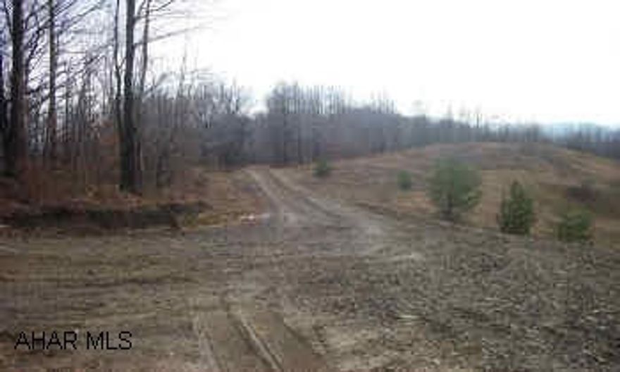 Indiana Co. - Banks Twsp. - 143 +/- vacant acres fields & woods, fronts on twsp. road,  electric nearby, 3.7 miles from Hemlock Lake, partially surfaced stripped.  Call Bonnie 814-942-2172 Indiana Co. - Banks Twsp. - 143 +/- vacant acres fields & woods,  partially surfaced stripped, fronts on twsp. road, electric nearby, 3.7 miles from Hemlock Lake, electric nearby.  Call Bonnie 814-942-2172