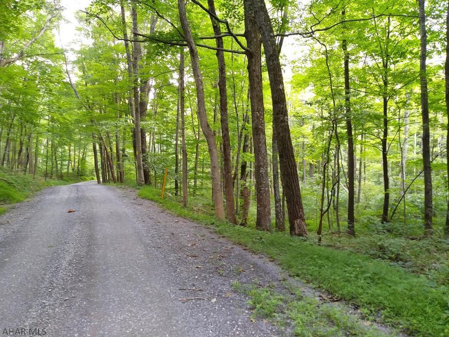 21+ wooded acres located near State Game Lands and Buchanan State Forest. Would be a very nice lot for a get-a-way cabin or build your dream home here. Currently no utilities on the property.