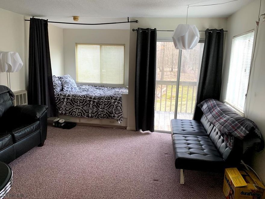 Blue Knob efficiency unit.  Well maintained with all appliances , new queen mattress and futon included! Updated bath and kitchen. Private deck off back.  Bring offers!