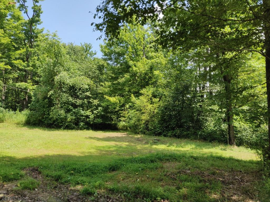 Blue Knob - Residential