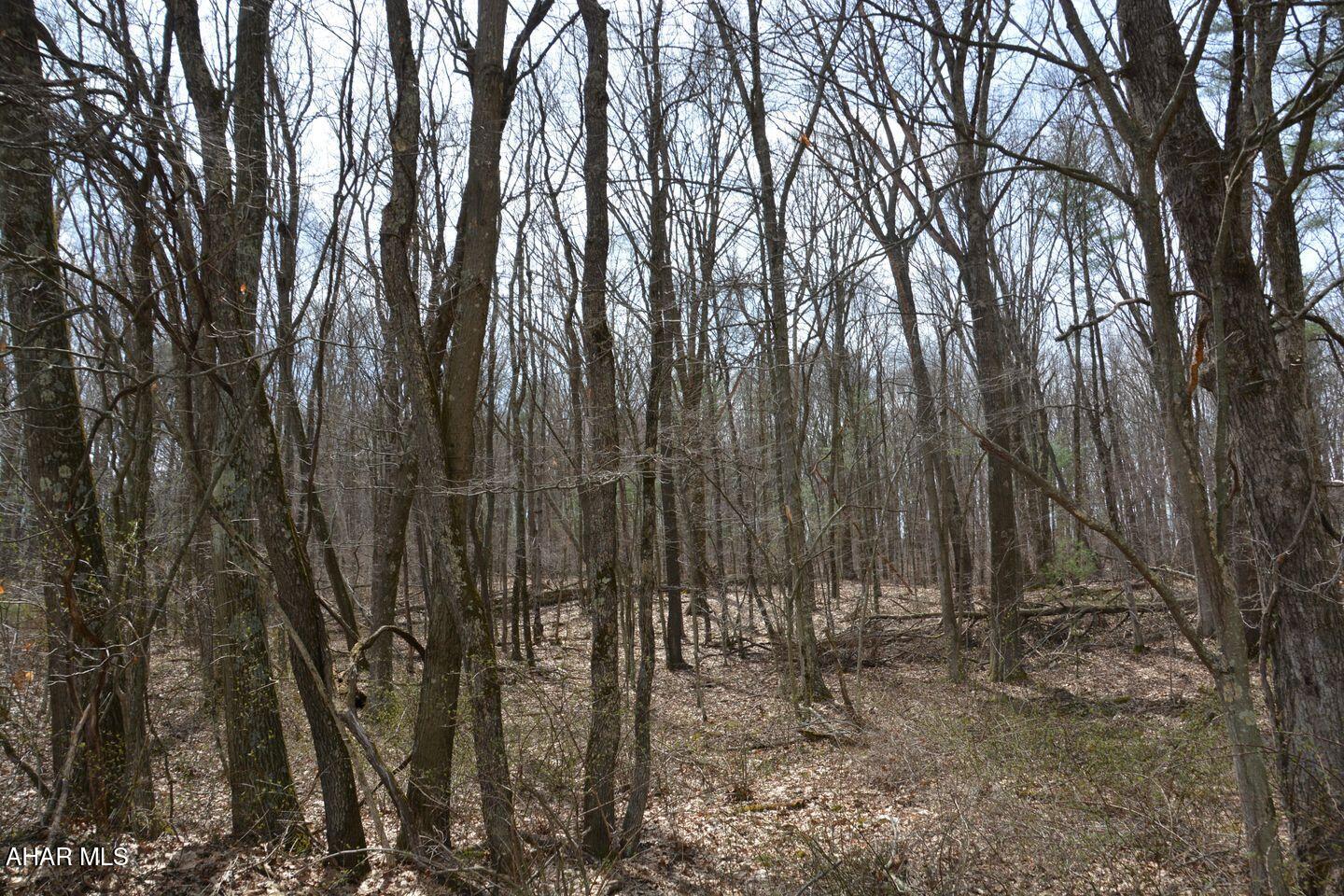 Other - Commercial Sale